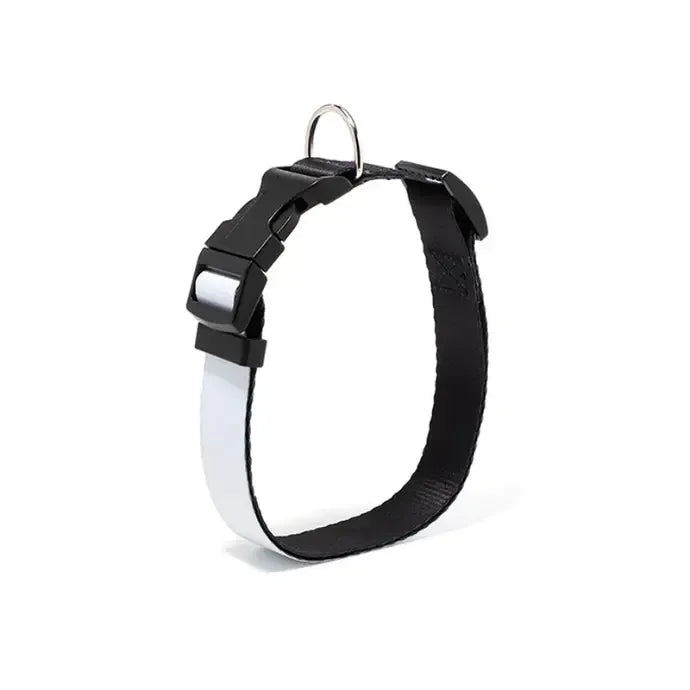 Collar para mascotas Personalizado - Personalizaciones MOA