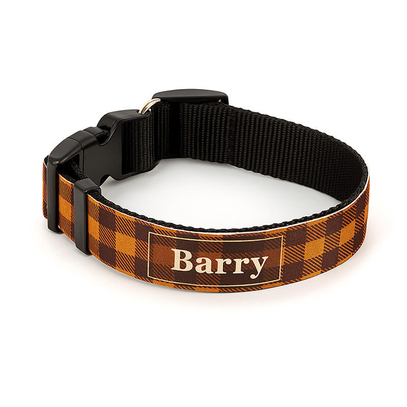 Collar para mascotas Personalizado - Personalizaciones MOA