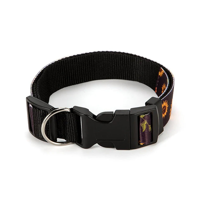 Collar para mascotas Personalizado - Personalizaciones MOA