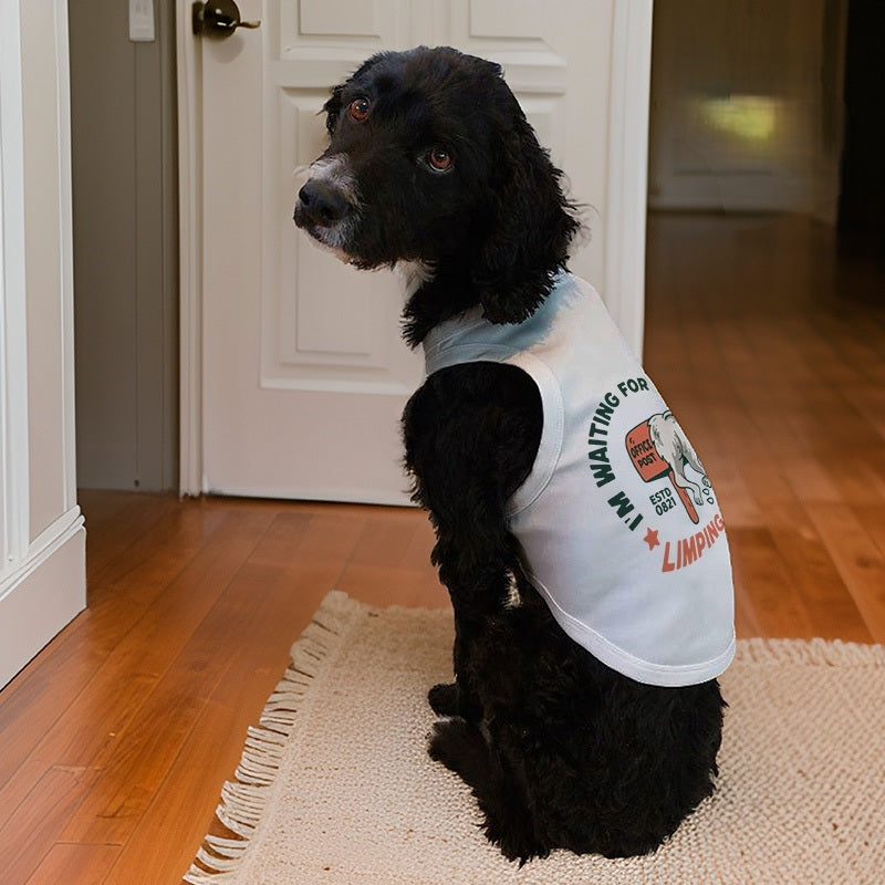 Camisetas para mascotas Personalizada - Personalizaciones MOA